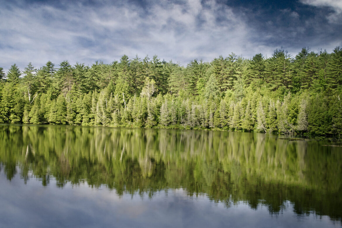 A still lake reflecting a dense forest treeline
