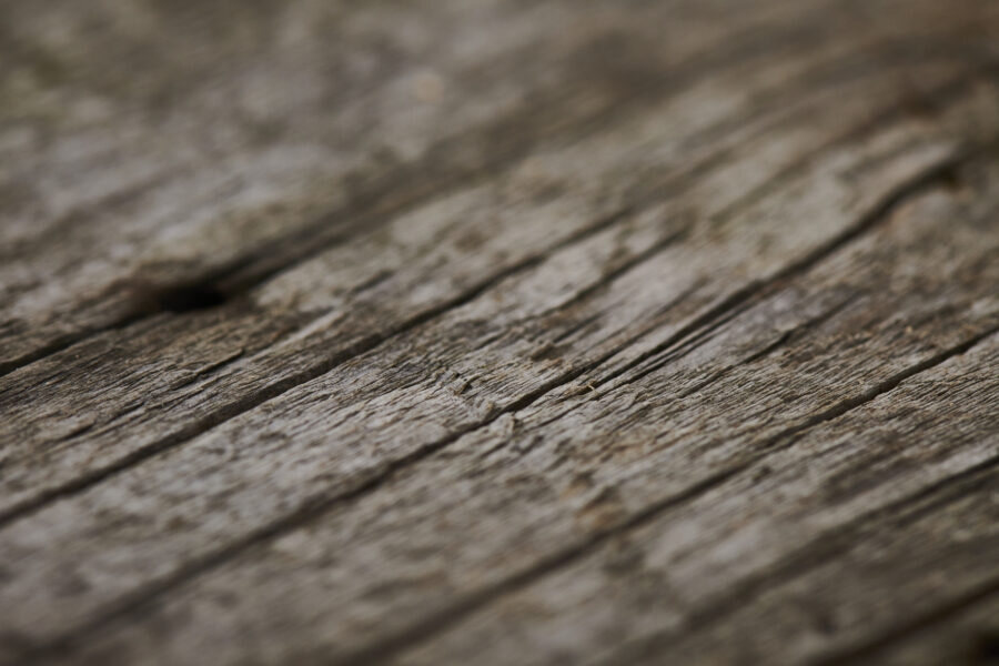 Close-up of weathered wood grain